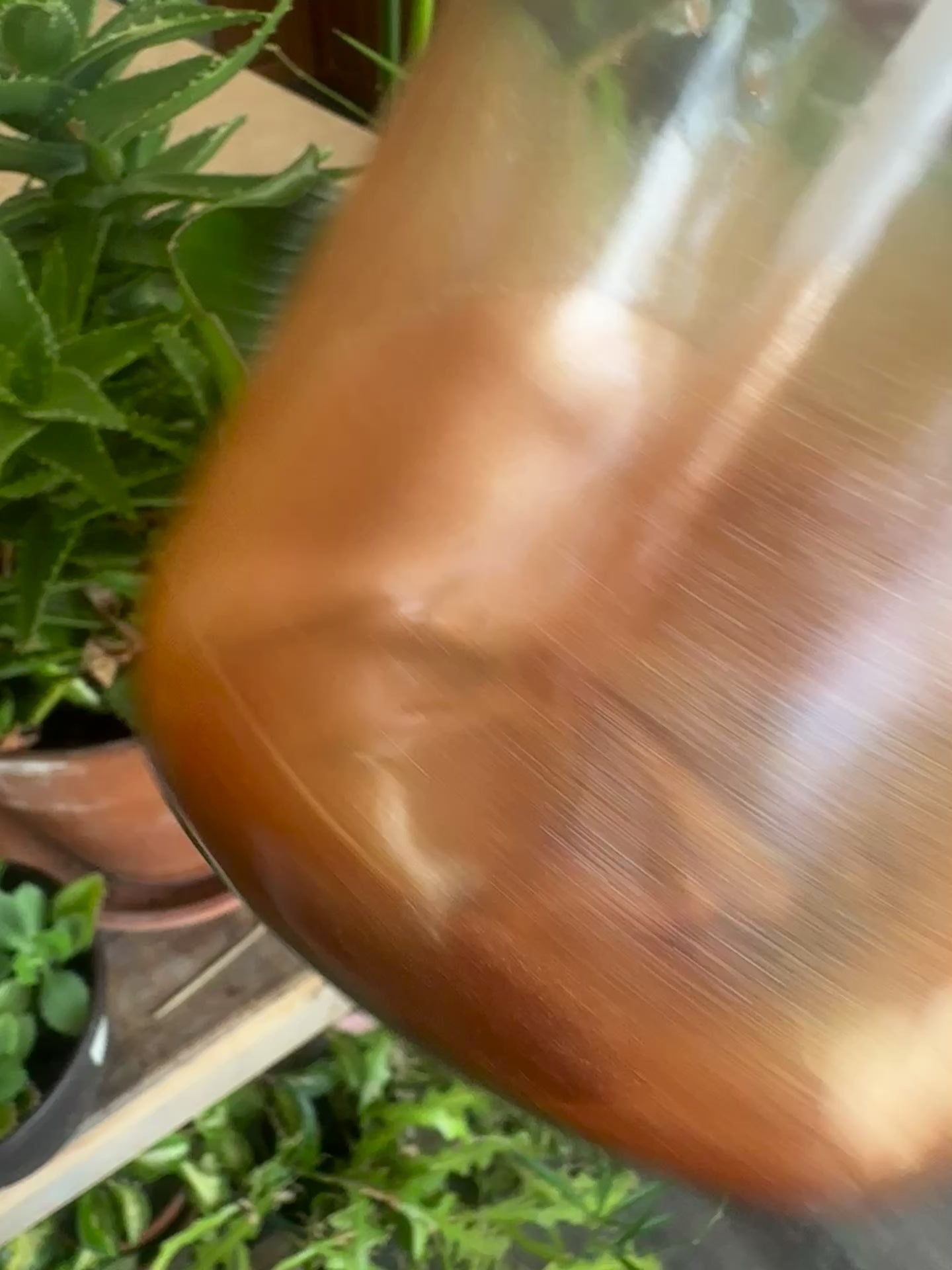 Summer Shimmer Oil