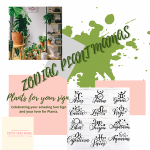 Zodiac Plant Mamas Box Set